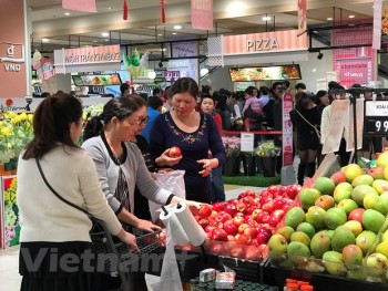 Xuất khẩu mặt hàng rau quả của Việt Nam giảm 4,6% trong 9 tháng