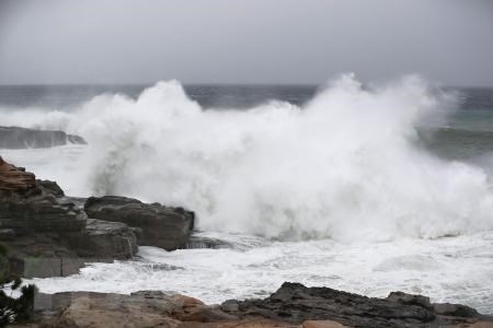 Nhật Bản: Siêu bão Habigis gây nhiều thương vong và thiệt hại