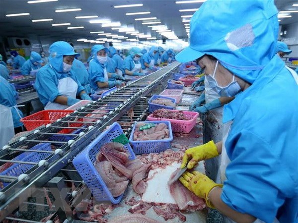 Hoa Kỳ kết luận sơ bộ thuế chống bán phá giá cá tra của Việt Nam