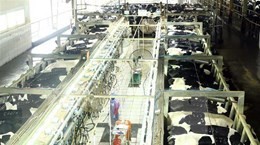 [Video] Việt Nam lần đầu tiên xuất khẩu sữa sang Trung Quốc