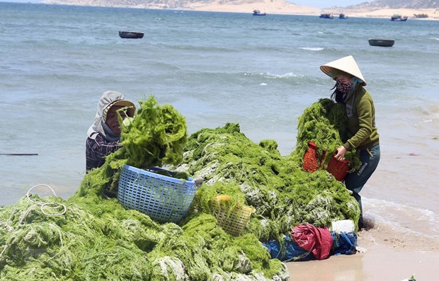 Việt Nam-Hàn Quốc hướng tới nền kinh tế xanh và tuần hoàn