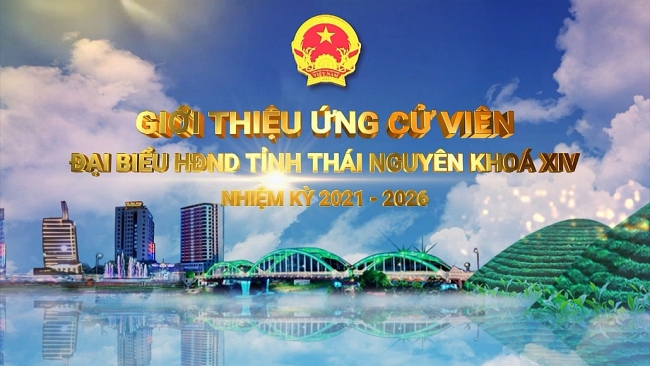 Giới thiệu ứng cử viên đại biểu HĐND tỉnh Thái Nguyên khóa XIV, nhiệm kỳ 2021-2026