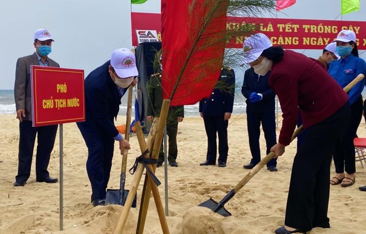 Phó Chủ tịch nước Đặng Thị Ngọc Thịnh trồng cây đầu Xuân Tân Sửu tại Quảng Bình. (Ảnh: Nhân dân)