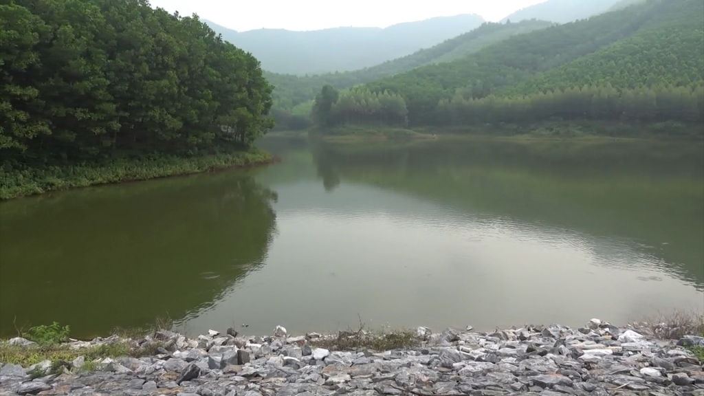 Cần tăng cường công tác quản lý, phát huy hiệu quả các công trình thủy lợi trên địa bàn huyện Phú Bình
