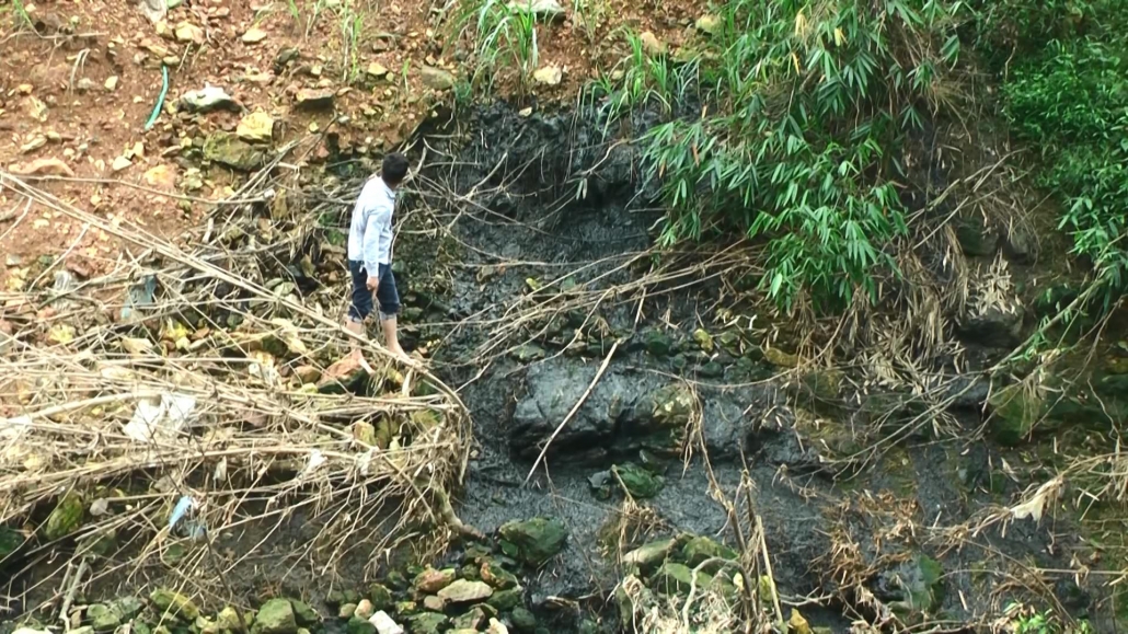 Vấn đề ô nhiễm môi trường trại chăn nuôi ở thị trấn Quân Chu