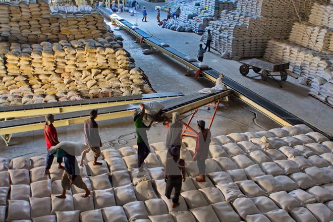 Bãi bỏ một số điều kiện về hoạt động kinh doanh xuất khẩu gạo