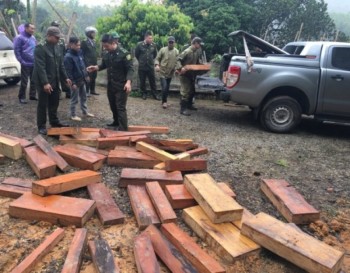 Thái Nguyên thu giữ gần 1 m³ khối gỗ quý nhóm IIA