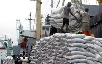 Xuất khẩu gạo không chắc lạc quan
