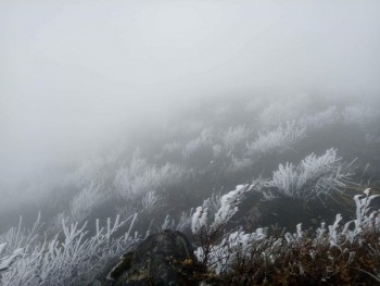 Sắp lạnh kéo dài, vùng núi cao phía Bắc có thể xuất hiện băng giá