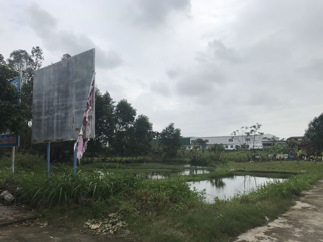 Quảng Ngãi: Dự án trường đại học “treo”, 26.000 m2 đất thành... bãi sình lầy