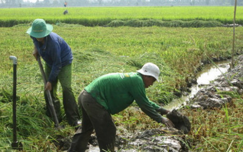 thuong lai trung quoc thue dat lua tha sinh vat ngoai lai