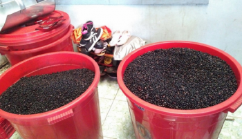 Phát hiện cơ sở cà phê pha trộn phụ gia không rõ nguồn gốc ở Kiên Giang