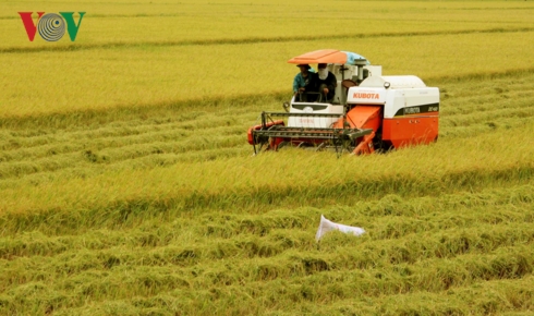 Nông dân đất Sen hồng với khát vọng sản xuất nông nghiệp bền vững