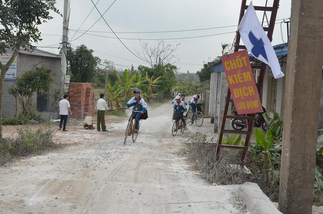 Nam Định: Lập chốt, rải 3 tấn vôi bột khắp xã dập dịch cúm H5N1