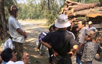 Phó Thủ tướng chỉ đạo kiểm tra việc phá rừng phòng hộ tại Phú Yên