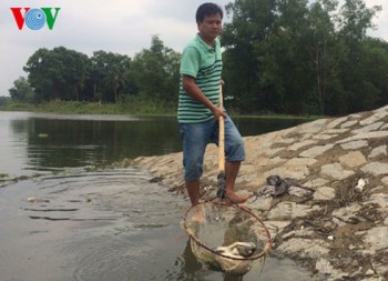 Bình Dương: Tập trung tìm nguyên nhân cá chết ở Bàu Bàng