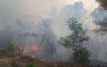 Vụ cháy hàng chục ha rừng ở Gia Lai: Do không có kinh phí dọn thực bì?
