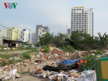 Hàng ngàn lô đất trống ở Đà Nẵng tiềm ẩn nguy cơ dịch bệnh