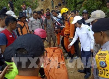 Indonesia: Sập mỏ vàng, 9 thợ mỏ thiệt mạng