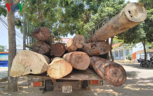 Phát hiện lâm tặc dùng ô tô tải vận chuyển gần 8m3 gỗ lậu ở Kon Tum