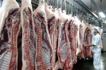 Giải cứu thị trường thịt heo bằng tăng kích cầu, cấp đông và chế biến