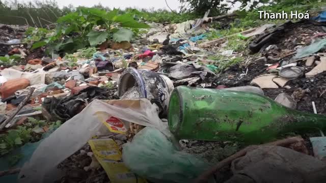 Hơn 100 ha rừng phòng hộ ven biển Thanh Hoá phủ đầy rác thải