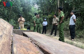 Năm 2018, Đắk Lắk phát hiện 1.360 vụ vi phạm, xâm hại rừng