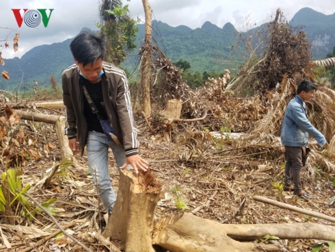 co hay khong viec bao ke lam tac pha rung di san o quang binh