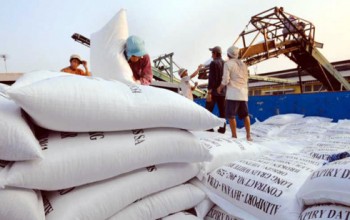 Nông dân và doanh nghiệp cần đi “cùng thuyền” trong xuất khẩu gạo