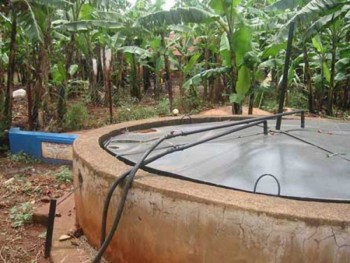 Ba anh em ruột lần lượt tử vong dưới hầm biogas