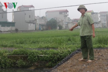 Hà Nam: Cắt bán đất lúa để trả nợ xây dựng nông thôn mới