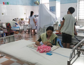 Dịch sốt xuất huyết diễn biến phức tạp ở Bình Định