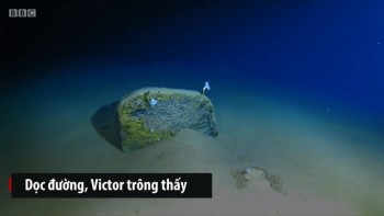 Nhà thám hiểm Mỹ lặn xuống rãnh đại dương sâu nhất thế giới