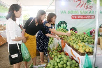Tuần lễ Xoài và nông sản Sơn La đạt doanh thu gần 4 tỷ đồng