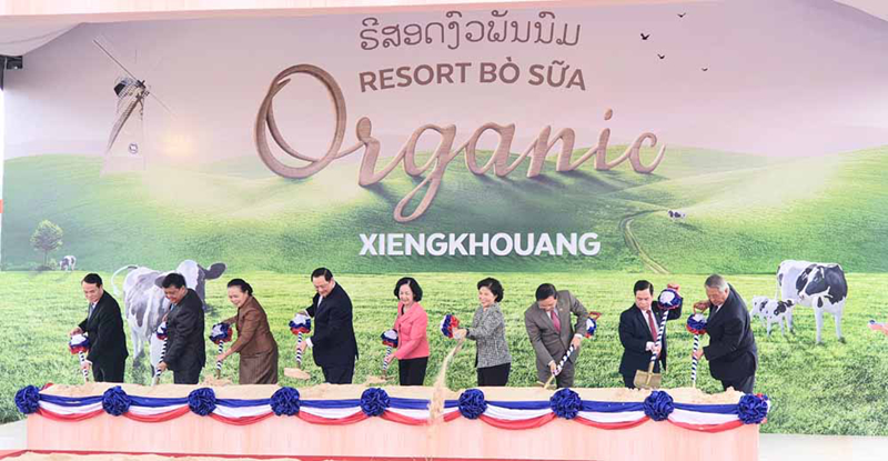 vinamilk khoi cong to hop resort bo sua organic 5000 ha tai lao