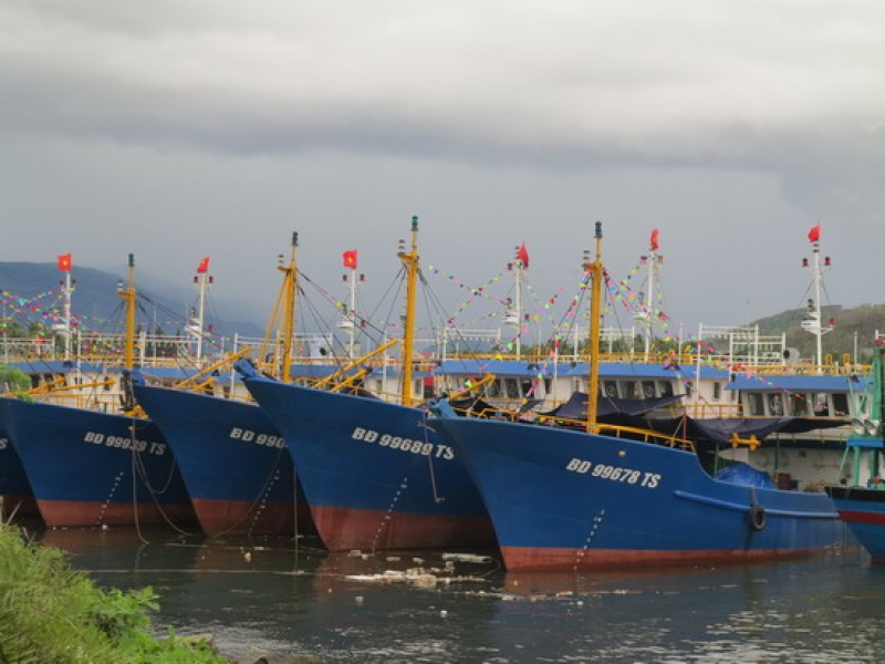 Vụ tàu cá vỏ thép: Tạm dừng hợp đồng mới đối với 2 doanh nghiệp