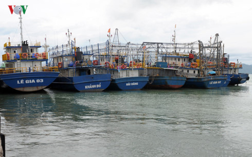 Ngư dân Phú Yên: Chi trả bảo hiểm tàu cá rất nhiêu khê
