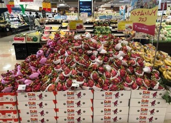 Hàng Việt Nam được tiêu thụ mạnh tại hệ thống siêu thị AEON (Nhật Bản)