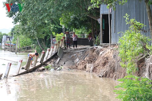 Sạt lở nghiêm trọng ở An Giang, 140m đường sụt xuống sông