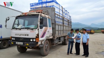 Hơn 11.000 tấn vải lai xuất sang Trung Quốc qua cửa khẩu Lào Cai