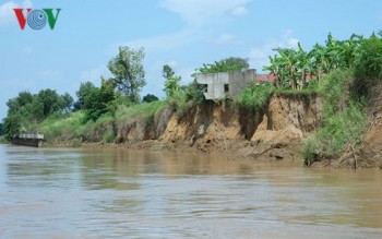 Sông Đồng Nai sạt lở, đất đai bị “gặm” hàng chục mét