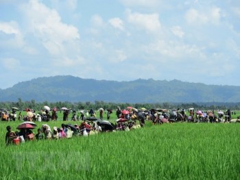 Myanmar: Khủng bố tại bang Rakhine vẫn là mối đe dọa tại khu vực