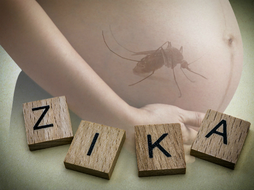 phong ngua virus zika trong boi canh benh lan rong