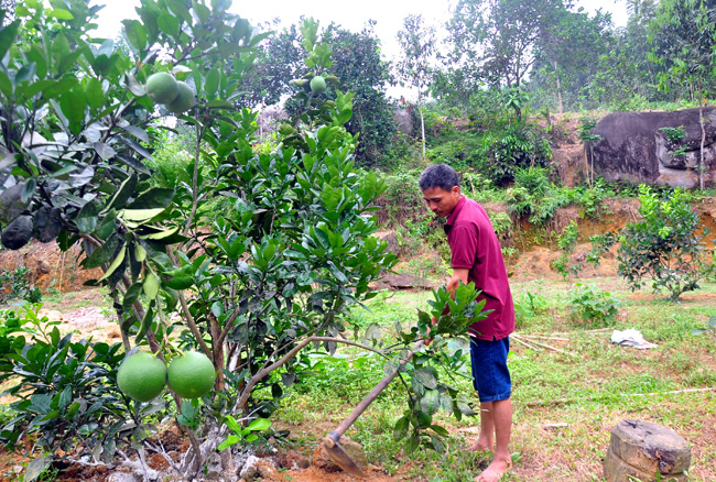 “Tiếp sức” cho các hộ nông dân mới thoát nghèo