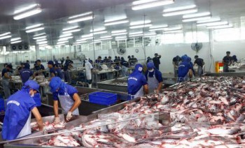 VASEP phản đối Hoa Kỳ áp thuế "vô lý" với cá tra phi lê đông lạnh Việt Nam