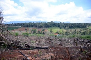 Đắk Nông: Thanh tra toàn diện vụ mất 53ha rừng tại Quảng Sơn