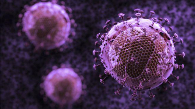 Hi vọng về phát hiện kháng thể mới tấn công 99% các chủng HIV