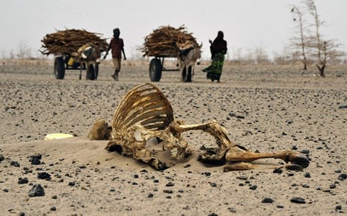 700.000 người Kenya đối mặt với tình trạng thiếu thực phẩm