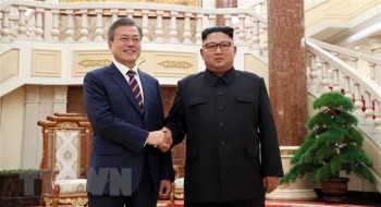 Hội đàm cấp Ngoại trưởng Hàn-Trung, Hàn-Nhật về vấn đề Triều Tiên