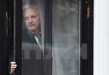 Wikileaks hủy đợt công bố thông tin nhạy cảm vì lo ngại an ninh
